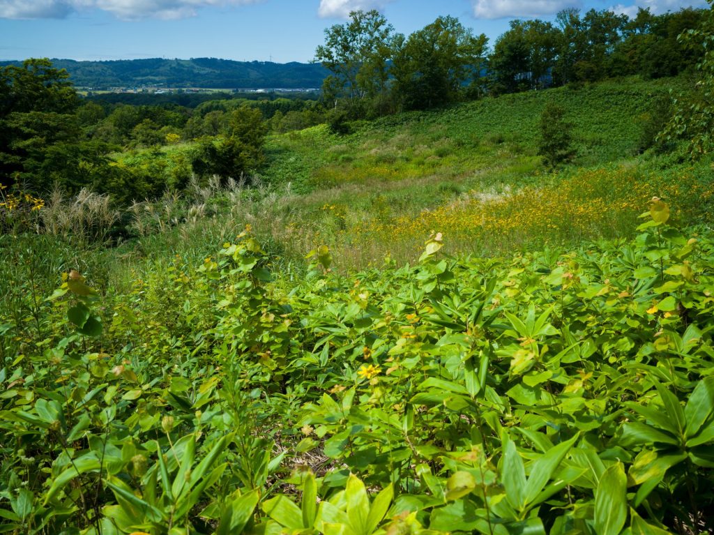 北海道石狩郡当別町金沢