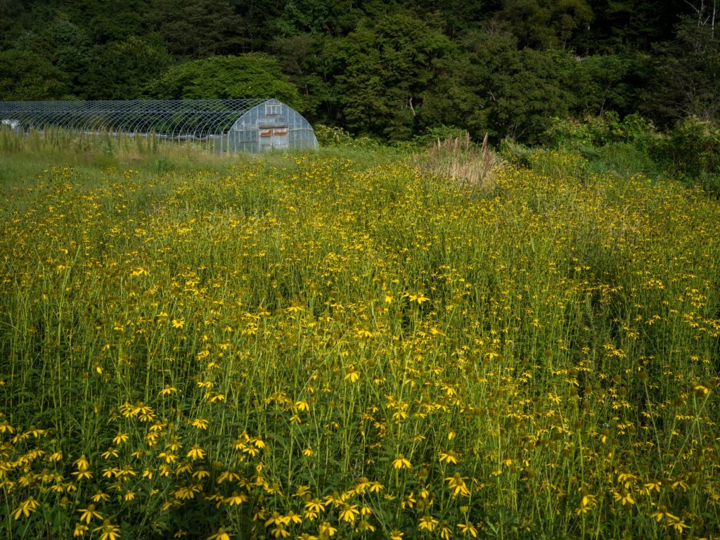北海道虻田郡豊浦町山梨