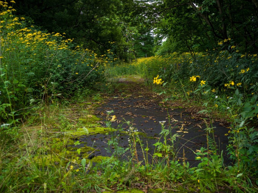 北海道室蘭市香川